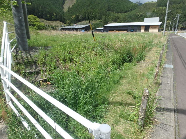 ガイアフロー静岡蒸溜所 調整池 施工前